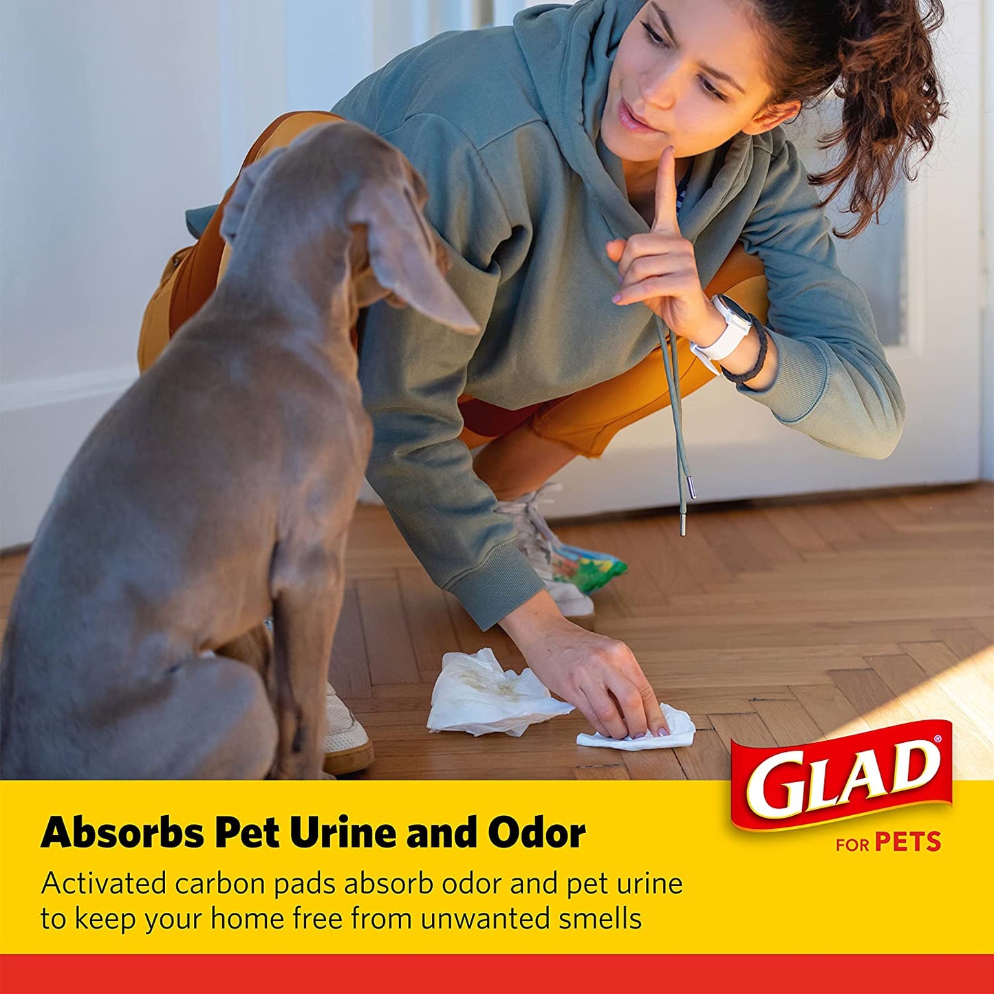 for Pets Activated Carbon Dog Pee Pads | Puppy Training Pads for Absorbing Odor and Urine, 100 Count