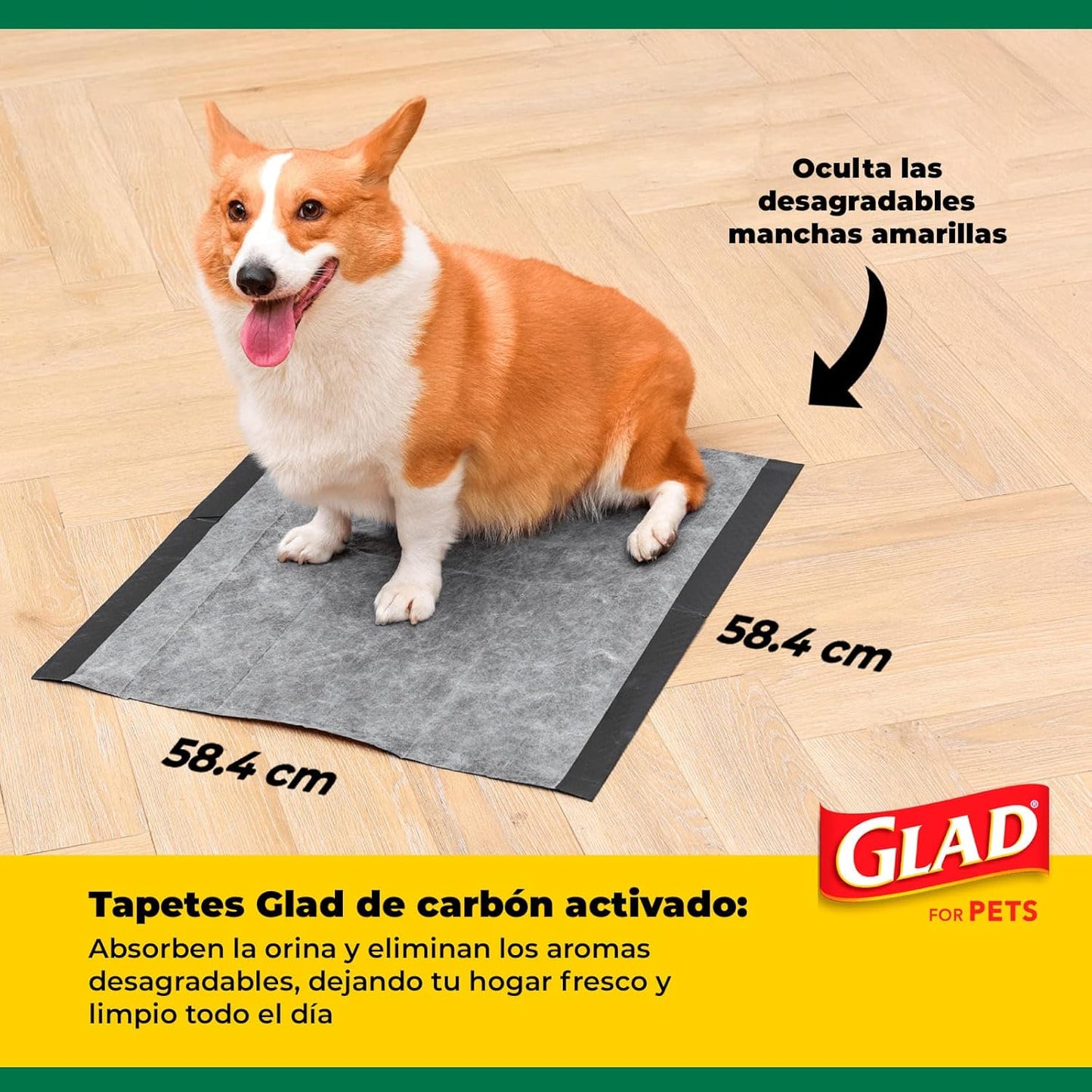 for Pets Activated Carbon Dog Pee Pads | Puppy Training Pads for Absorbing Odor and Urine, 100 Count