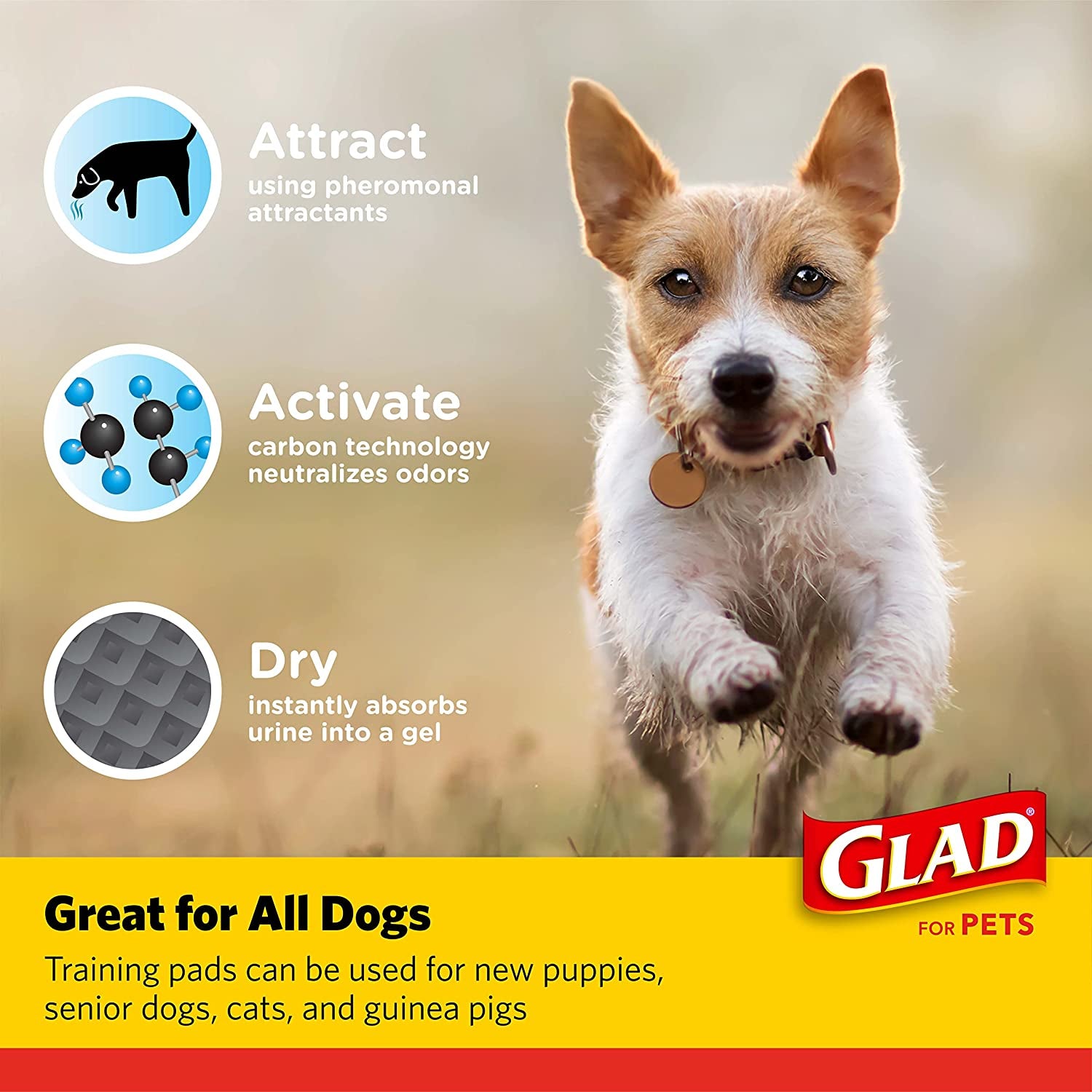 for Pets Activated Carbon Dog Pee Pads | Puppy Training Pads for Absorbing Odor and Urine, 100 Count